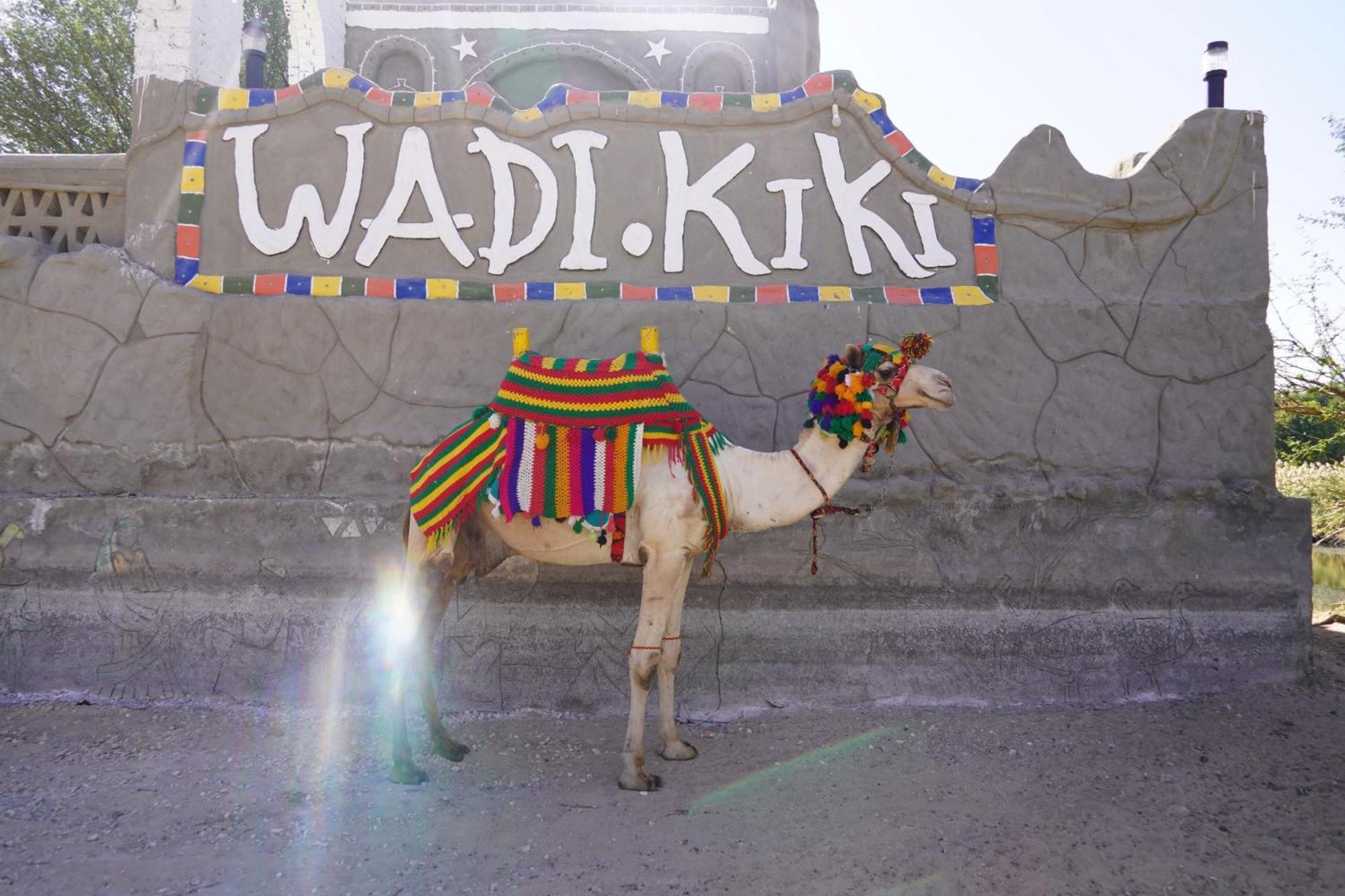 Artika Wadi Kiki Hotel Assouan Extérieur photo